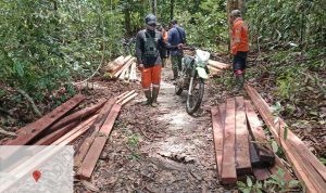 Patroli Hutan TN Tesso Nilo: Menghadapi Tantangan Illegal Logging