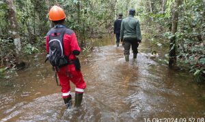 Petugas Hutan Tesso Nilo: Perjuangan di Tengah Ancaman