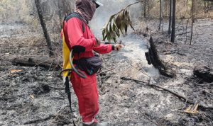 Perjuangan Tanpa Henti Tim Manggala Agni SPTN Wilayah I LKB : Melawan Si Jago Merah dalam Keterbatasan