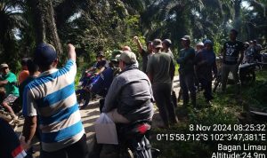 Perjuangan Petugas dalam Inventarisasi Usaha Tanpa Izin di Taman Nasional Tesso Nilo