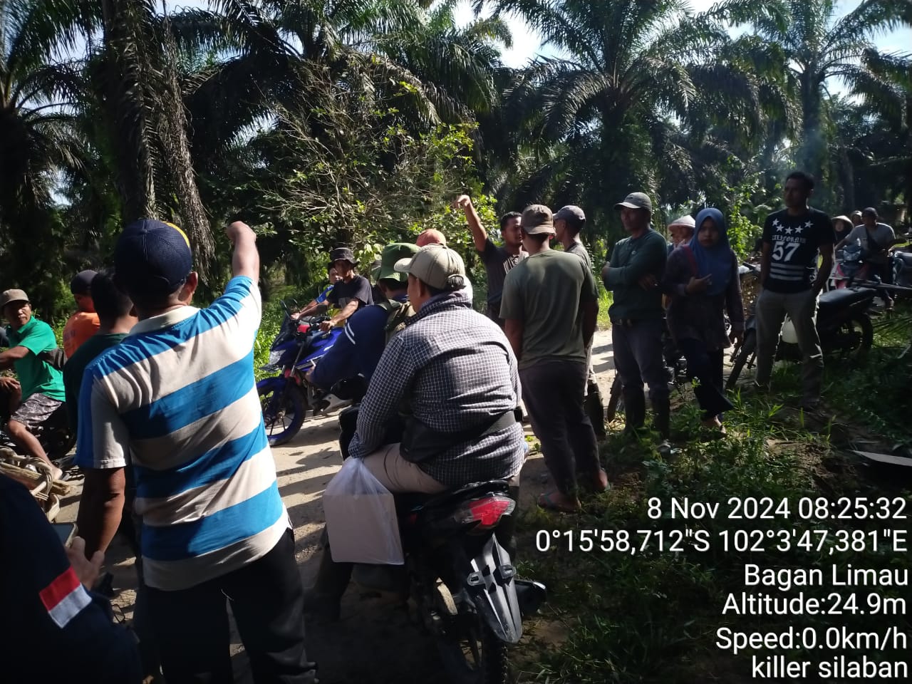 Perjuangan Petugas dalam Inventarisasi Usaha Tanpa Izin di Taman Nasional Tesso Nilo