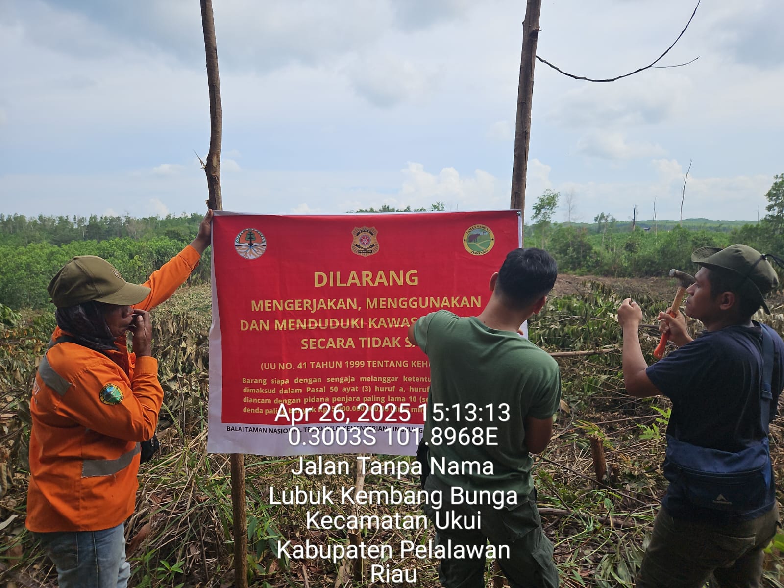 Menjaga Tesso Nilo: Di Balik Sunyi Patroli, Ada Nyali