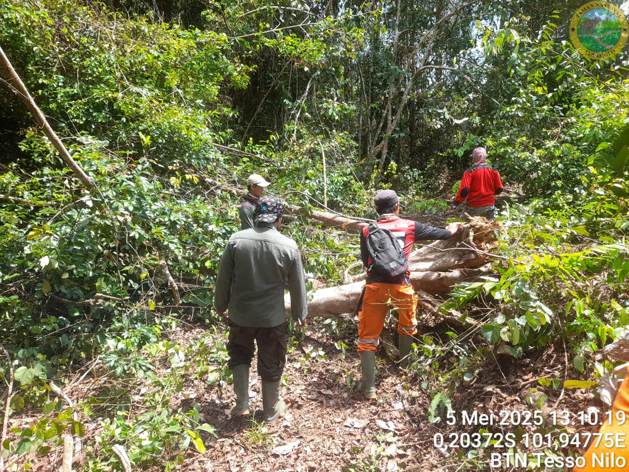 Menembus Sunyi, Menjaga Hutan: Perjuangan Senyap Petugas Patroli di LKB