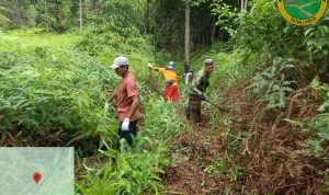 Parang, Peluh, dan Sebuah Trek di Tengah Rimba