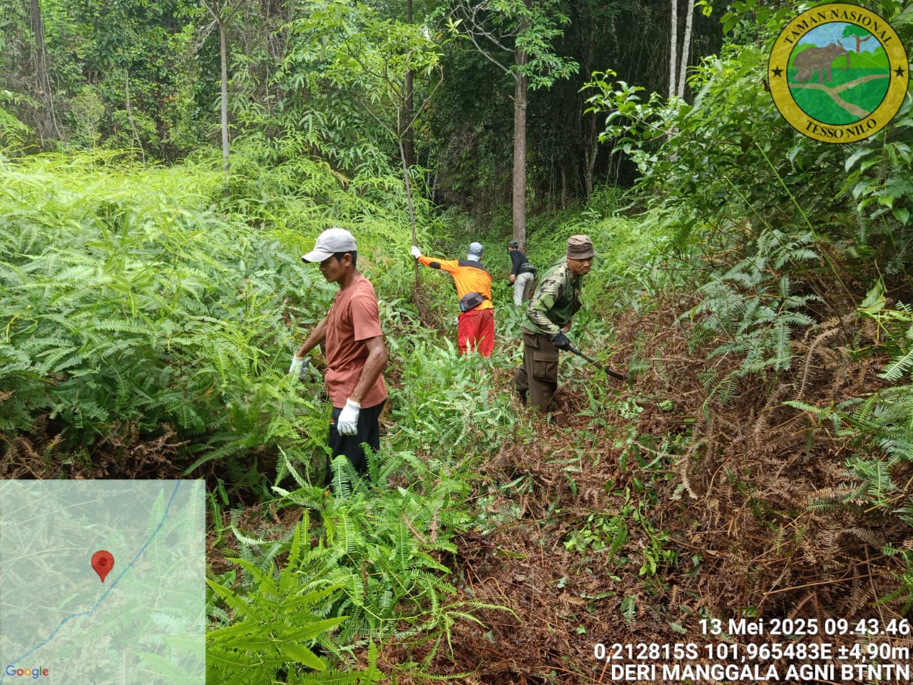 Parang, Peluh, dan Sebuah Trek di Tengah Rimba