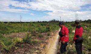Jejak Api di Tengah Semak: Perjuangan Senyap Petugas TNTN