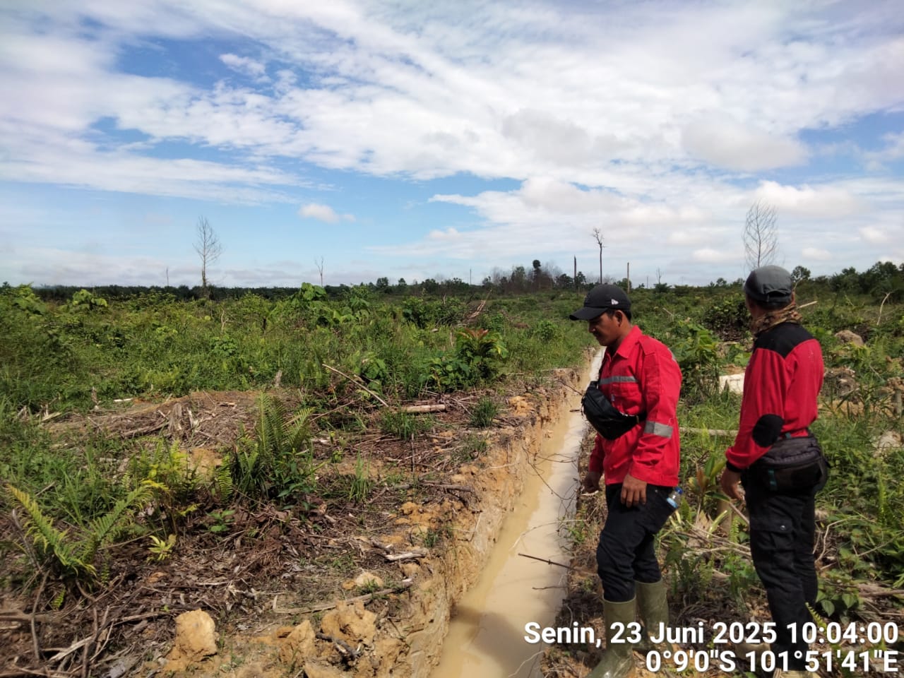 Jejak Api di Tengah Semak: Perjuangan Senyap Petugas TNTN